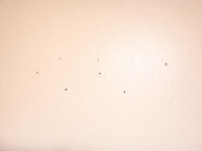 Patching holes in drywall